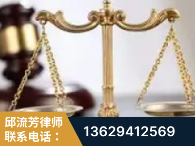 庆阳-委托诉讼代理人出庭